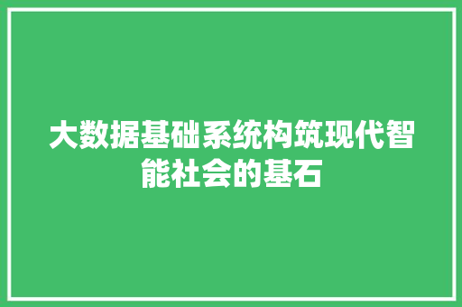 大数据基础系统构筑现代智能社会的基石