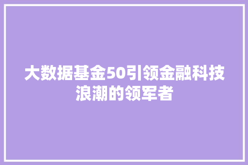 大数据基金50引领金融科技浪潮的领军者  第1张