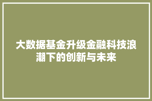 大数据基金升级金融科技浪潮下的创新与未来  第1张