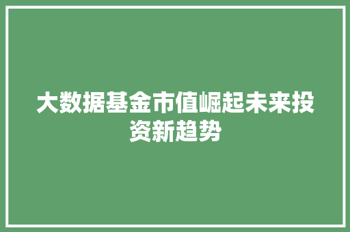 大数据基金市值崛起未来投资新趋势  第1张