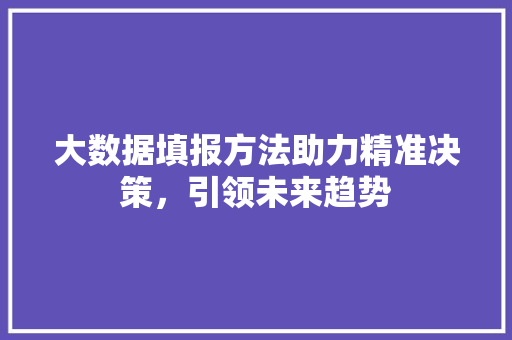 大数据填报方法助力精准决策，引领未来趋势  第1张