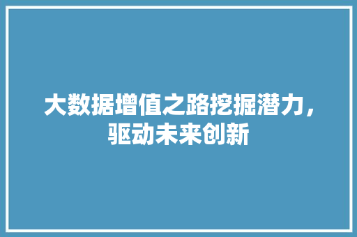 大数据增值之路挖掘潜力，驱动未来创新  第1张