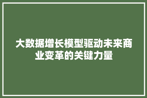 大数据增长模型驱动未来商业变革的关键力量  第1张