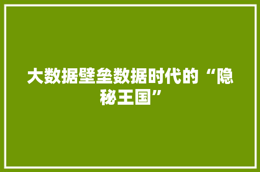 大数据壁垒数据时代的“隐秘王国”  第1张