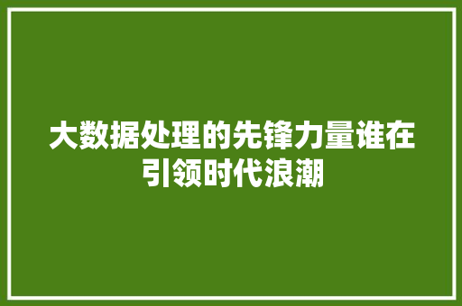 大数据处理的先锋力量谁在引领时代浪潮
