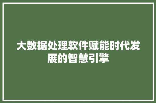 大数据处理软件赋能时代发展的智慧引擎