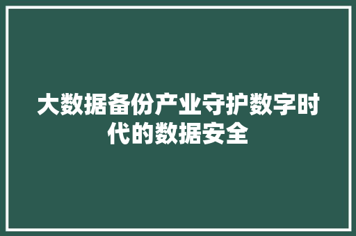 大数据备份产业守护数字时代的数据安全