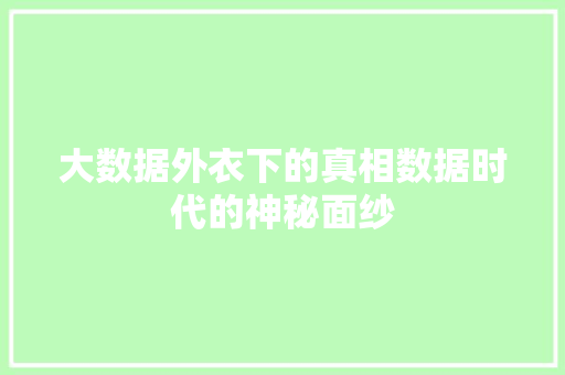 大数据外衣下的真相数据时代的神秘面纱