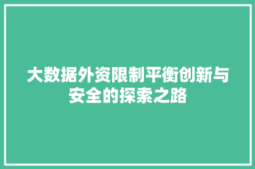 大数据外资限制平衡创新与安全的探索之路  第1张