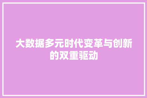 大数据多元时代变革与创新的双重驱动