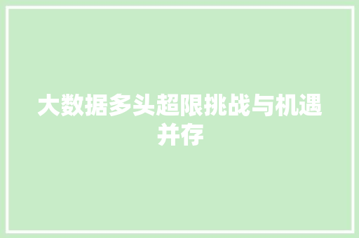 大数据多头超限挑战与机遇并存