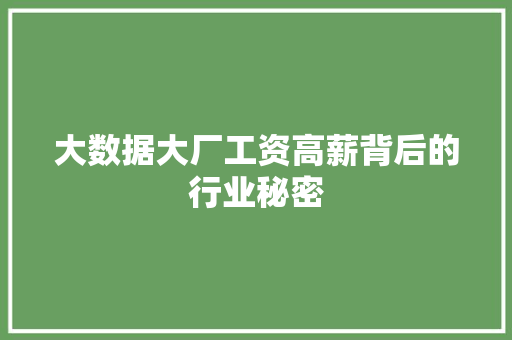 大数据大厂工资高薪背后的行业秘密