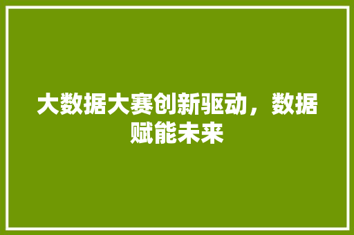 大数据大赛创新驱动，数据赋能未来