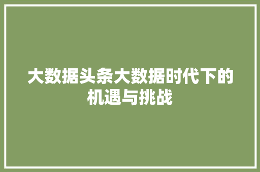大数据头条大数据时代下的机遇与挑战  第1张