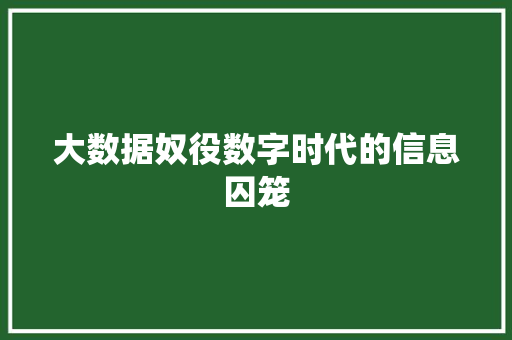 大数据奴役数字时代的信息囚笼