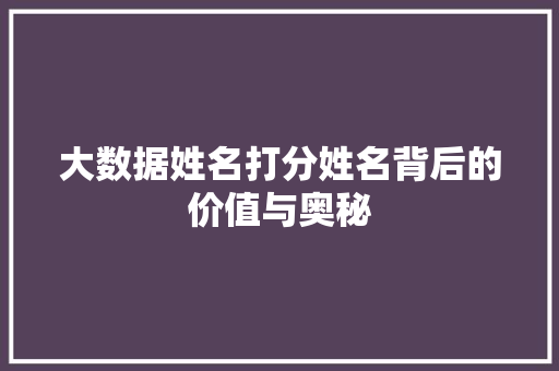 大数据姓名打分姓名背后的价值与奥秘