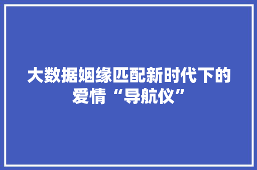 大数据姻缘匹配新时代下的爱情“导航仪”