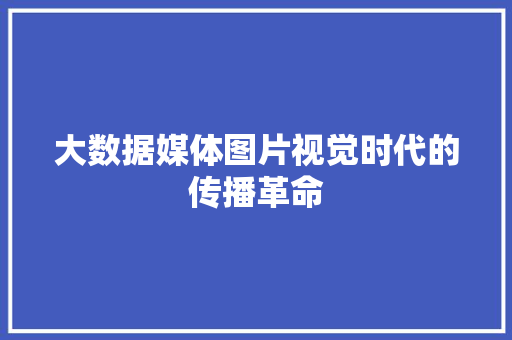 大数据媒体图片视觉时代的传播革命  第1张
