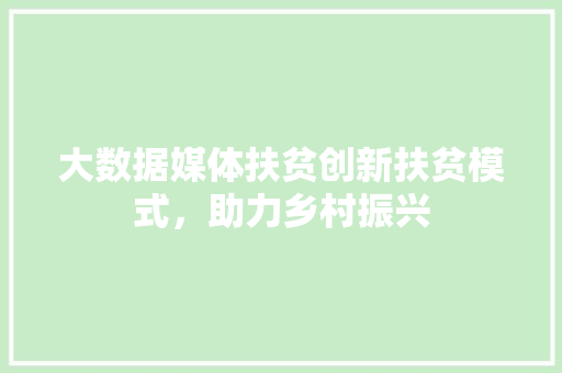 大数据媒体扶贫创新扶贫模式，助力乡村振兴  第1张
