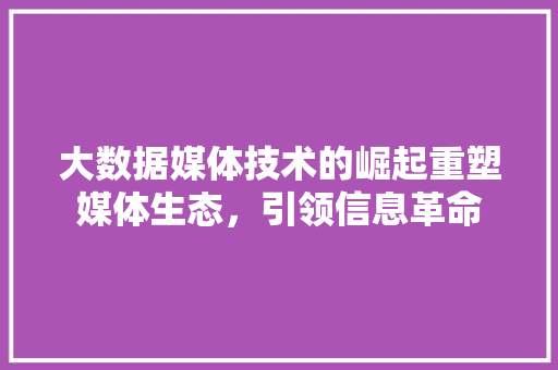 大数据媒体技术的崛起重塑媒体生态，引领信息革命