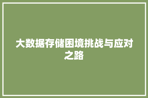 大数据存储困境挑战与应对之路