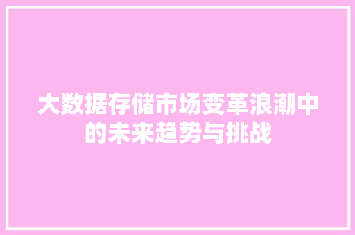 大数据存储市场变革浪潮中的未来趋势与挑战