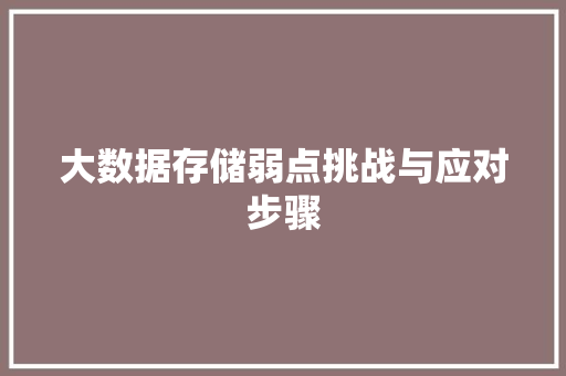 大数据存储弱点挑战与应对步骤