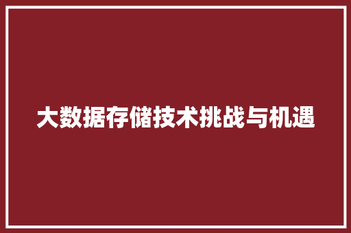 大数据存储技术挑战与机遇
