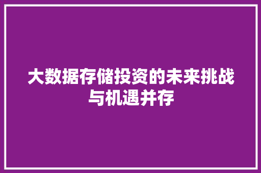 大数据存储投资的未来挑战与机遇并存