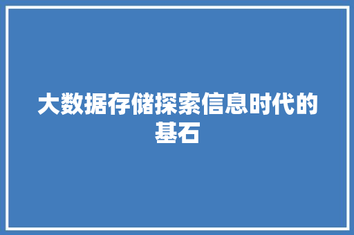 大数据存储探索信息时代的基石
