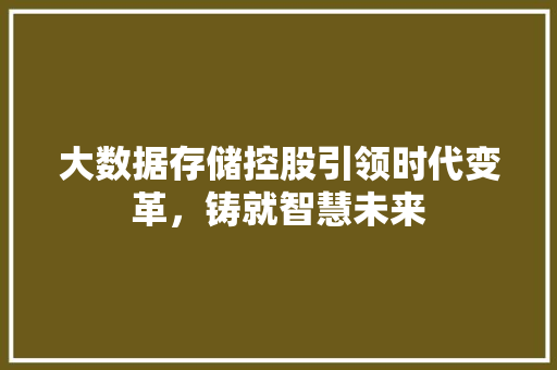 大数据存储控股引领时代变革，铸就智慧未来
