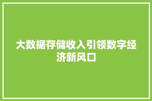 大数据存储收入引领数字经济新风口