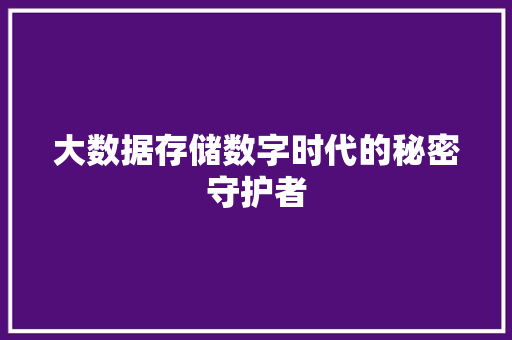 大数据存储数字时代的秘密守护者