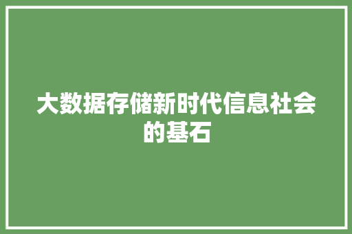 大数据存储新时代信息社会的基石