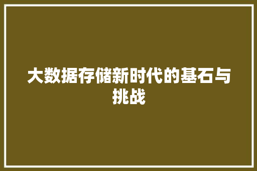 大数据存储新时代的基石与挑战