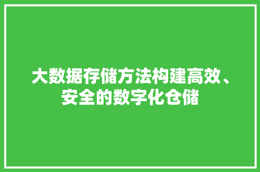大数据存储方法构建高效、安全的数字化仓储