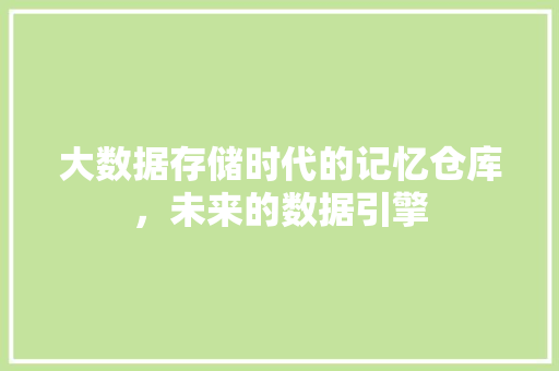 大数据存储时代的记忆仓库，未来的数据引擎