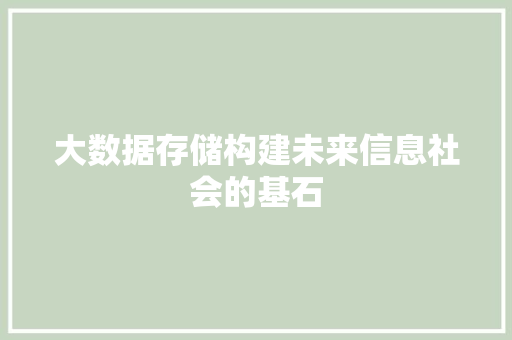 大数据存储构建未来信息社会的基石