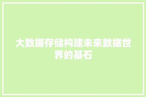 大数据存储构建未来数据世界的基石