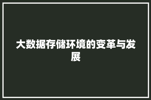 大数据存储环境的变革与发展