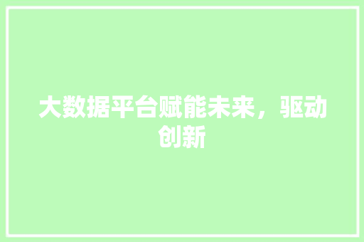 大数据平台赋能未来，驱动创新  第1张
