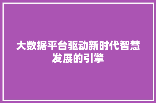 大数据平台驱动新时代智慧发展的引擎  第1张