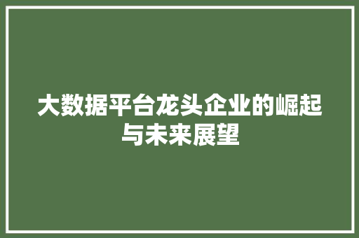 大数据平台龙头企业的崛起与未来展望  第1张
