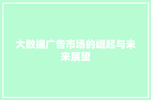 大数据广告市场的崛起与未来展望  第1张