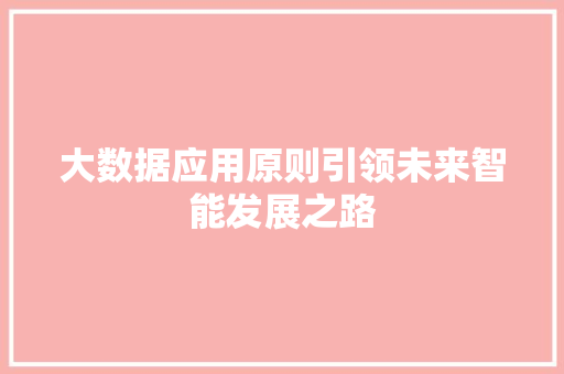 大数据应用原则引领未来智能发展之路