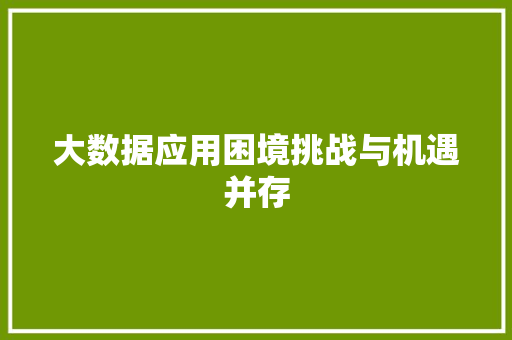 大数据应用困境挑战与机遇并存  第1张
