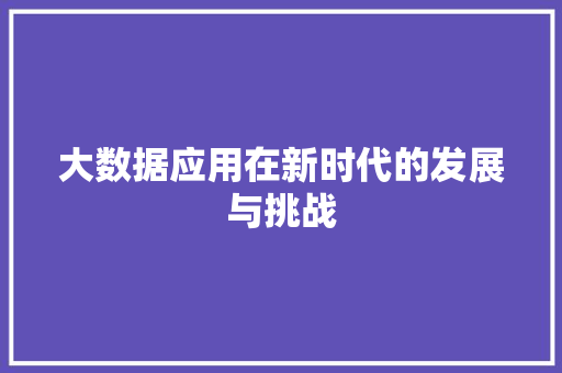 大数据应用在新时代的发展与挑战