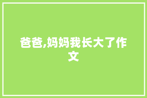 大数据应用在衡阳智慧城市建设的新引擎