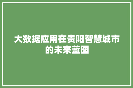 大数据应用在贵阳智慧城市的未来蓝图