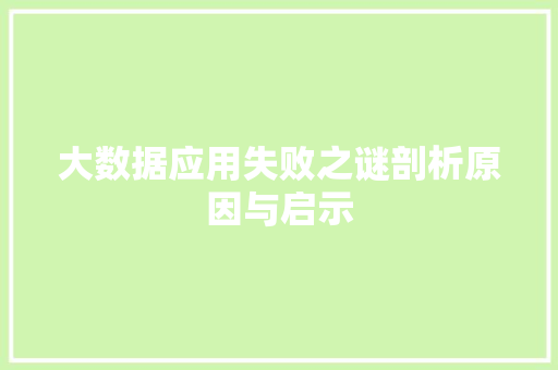 大数据应用失败之谜剖析原因与启示